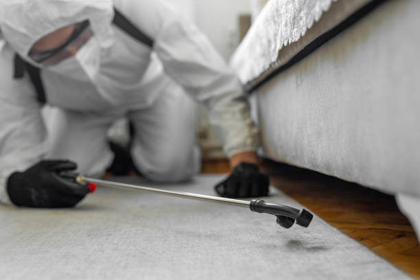Professional Bed Bug Control technician working in Welby, CO